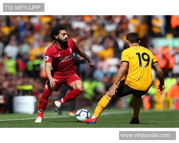 马尔科-查卡莱维奇:领军夺冠,荣膺赛季最有价值球员