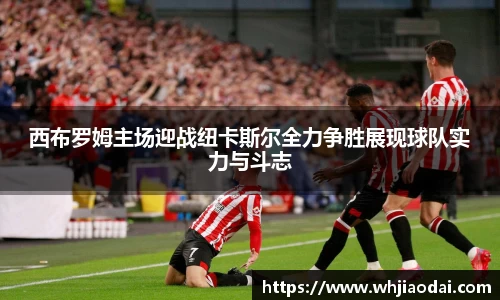 HB火博在线登录